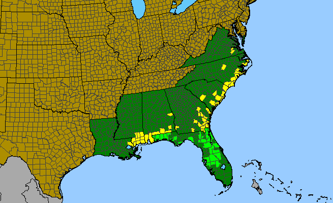 The range of Peltandra sagittifolia